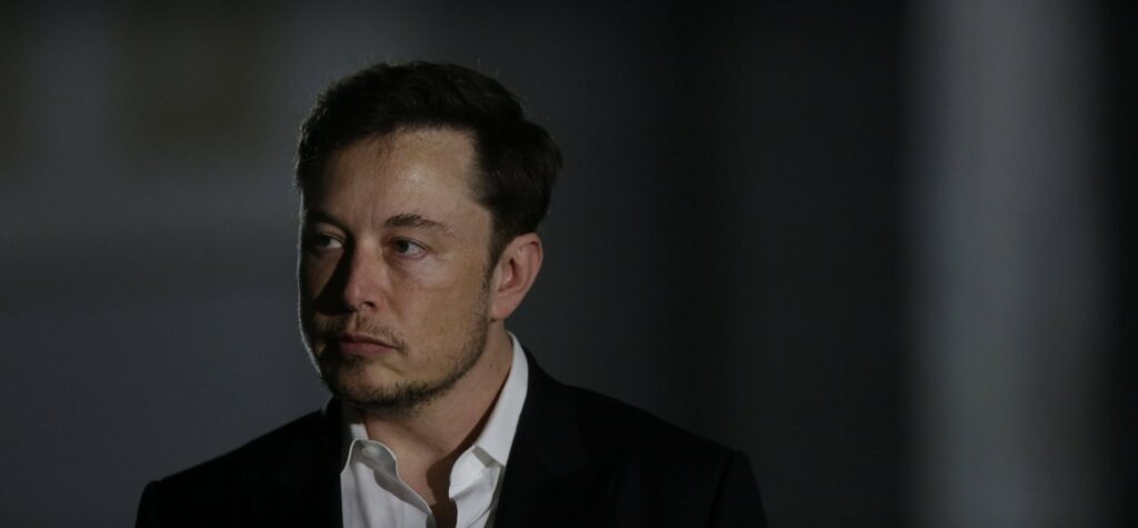 elon lumberjack
