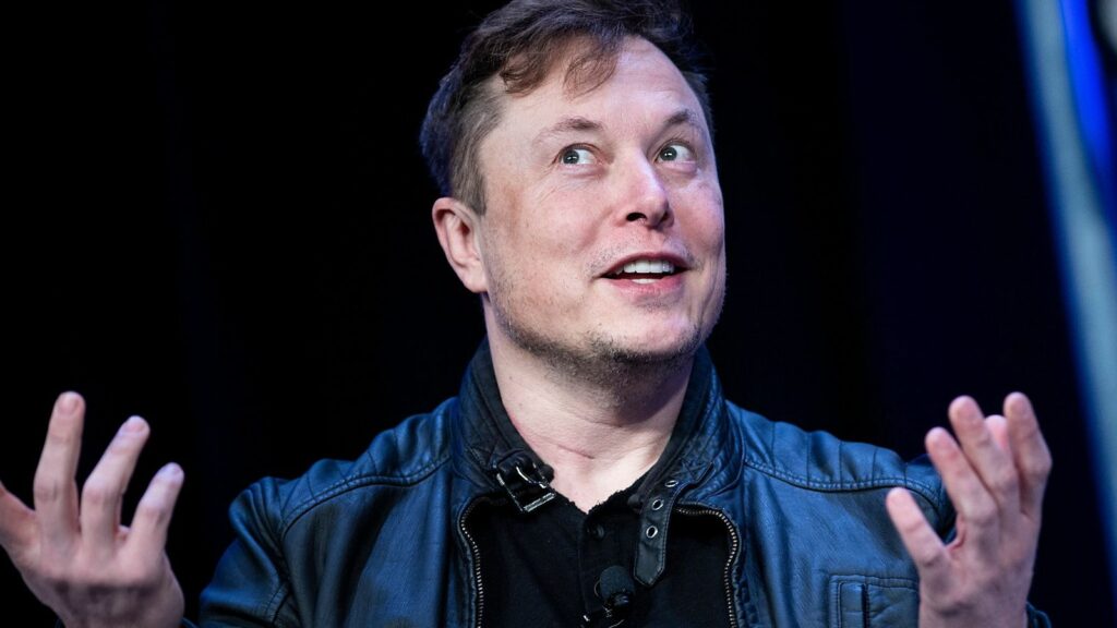 elon musk lockdown